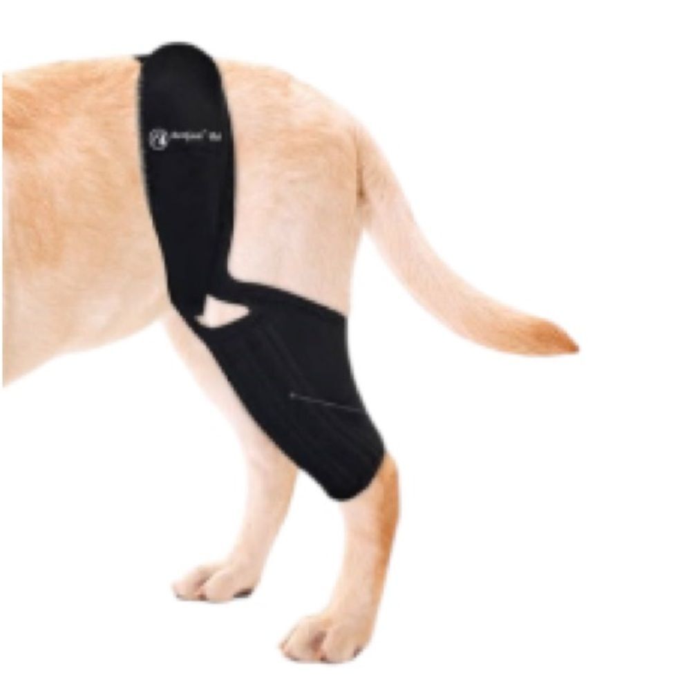 BaoGuai New Knee Brace for Dogs ACL with Side Stabilizers Size Large
